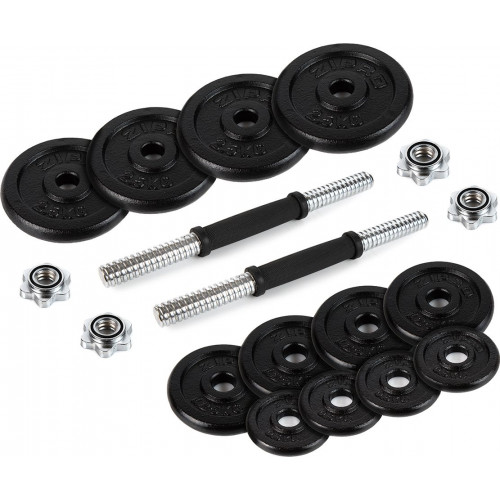 Гантелі розбірні у кейсі ZIPRO Cast Iron, 2 x 10 кг