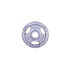 Диск чавунний inSPORTline Hamerton 2,5 кг