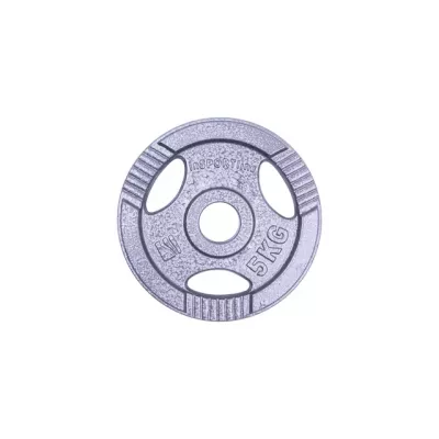 Диск чавунний inSPORTline Hamerton 5 кг