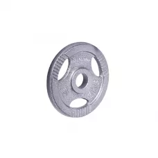 Диск чавунний inSPORTline Hamerton 5 кг