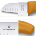 Кухонний ніж Victorinox SwissClassic Santoku 6.8526.17L9B