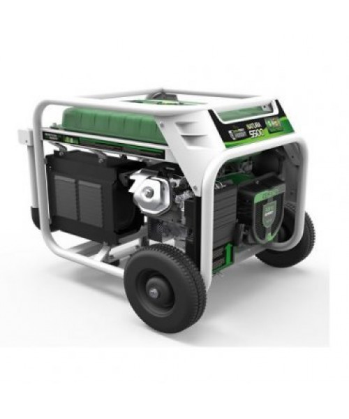 Генератор газ - бензин GENERGY NATURA 5000 5,5/5 кВт (240026090)