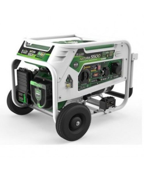 Генератор газ - бензин GENERGY NATURA 5000 5,5/5 кВт (240026090)
