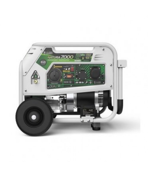 Генератор бензин - газ GENERGY NATURA 7000 7/6 кВт(240027090) Генератор бензин - газ GENERGY NATURA 7000 7/6 кВт(240027090)