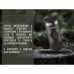 Портативна еспресо-кавоварка Wacaco Nanopresso+ з адаптером для капсули