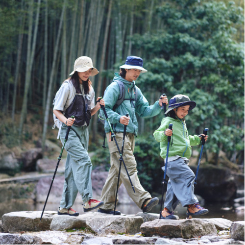 Трекінгова телескопічна палиця Naturehike CNK2550DS010 Sunlit Terk Base, 60-135 см, зелена Трекінгова телескопічна палиця Naturehike CNK2550DS010 Sunlit Terk Base, 60-135 см, зелена