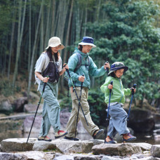 Трекінгова телескопічна палиця Naturehike CNK2550DS010 Sunlit Terk Base, 60-135 см, чорна