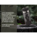 Портативна еспресо-кавоварка Wacaco Nanopresso Grey