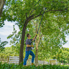 Висоторіз-кущоріз Litheli телескопічний, 3400 мм, живлення від павербанку (УМБ Litheli Power Bank 20000 mAh, 45 W, 2,5 А в комплекті)