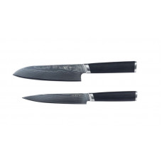 Набір ножів з Дамаскої сталі 2 предмета DAMASCUS 830520 NOIS