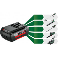 Акумулятор та зарядний пристрій Bosch (F016800609)