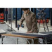 Акумуляторна ударна дриль-шурупокрут Bosch GSB 18V-50 Professional з 2 акб і з/у (06019H5100)