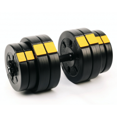 Набір Besport PowerPro гантелі 2х31кг з лавою WB-002