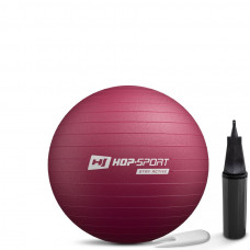Фітбол Hop-Sport 45см HS-R045YB сливовий + насос