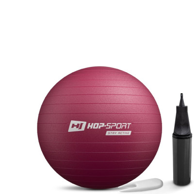 Фітбол Hop-Sport 45см HS-R045YB сливовий + насос