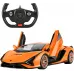 Машинка Rastar Lamborghini Sian (97760) на радіокеруванні. 1:14. Помаранчевий Машинка Rastar Lamborghini Sian (97760) на радіокеруванні. 1:14. Помаранчевий
