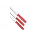Набір кухонних овочевих ножів Victorinox Paring Set 3 шт Червоний (5.1111.3)