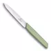 Кухонний ніж універсальний 10 см Victorinox Swiss Modern Paring Knife для різання та чищення, гладке лезо зелений (6.9006.1042)