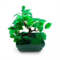 Бонсай Зелене дерево (13х9х6,5 см) пластик, кераміка (DN27180) Бонсай Зелене дерево (13х9х6,5 см) пластик, кераміка (DN27180)