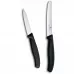 Набір для чистки овочів з двох ножів Victorinox Swiss Classic чорний (6.7113.2)