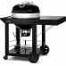 Угольный гриль 57 см Napoleon PRO Kettle CART, PRO22K-CART-3 Код: 012118
