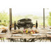 Газовый портативный гриль TravelQ PRO-285 Napoleon PRO285-BK-RU Код: 004264
