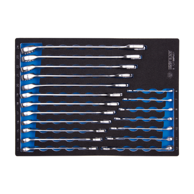 Набір комбінованих ключів 19 одиниць в ложементі