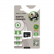 Карта пам'яті GreenVision microSDXC 256GB Class10 (без адаптера)