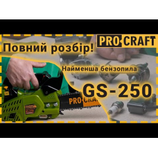 Бензопила Procraft GS-250 (Шина, ланцюг 30)