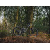 Електровелосипед MONDRAKER ZENDIT RR 29/27.5'' 170mm, DJI Avinox M2S 800Wh, Vortex Grey, L