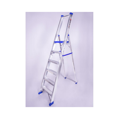 Стремянка професійна REGINA SVELT 6