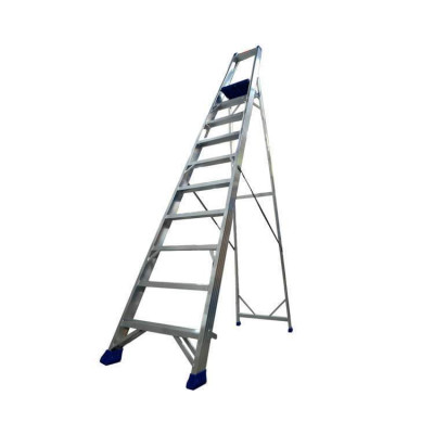 Стремянка професійна REGINA SVELT 10