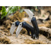 Ніж Boker Plus Veloc