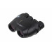 Бінокль Leupold 10x25 "Rogue" Compact Porro чорний