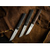 Ніж Boker Plus Wasabi Cocobolo