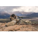 Підзорна труба Vortex Razor HD 27-60x85/45 (RS-85A)