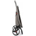 Сумка-візок Rolser Eco Pep 2 LRSG (PEP025-1041)
