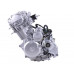 Двигун (165FMJ) - CB250 з повітряним охолодженням