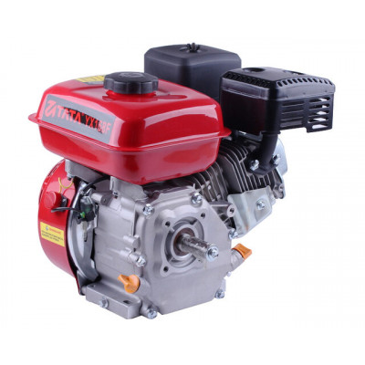 Двигун 170F - бензин (під шпонку діаметр 20 мм) (7 л.с.) TT AGRO MOTO