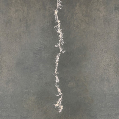 Гірлянда "Строката гілка", "Luca", 150 см, біла