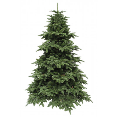 Ялина 2,15 м Abies Nordmann de Luxe зелена