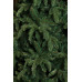 Ялина 2,15 м Abies Nordmann de Luxe зелена