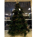 Ялина 2,30 м Abies Nordmann de Luxe зелена