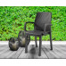 Стілець садовий пластиковий BICA Verona armchair, графіт