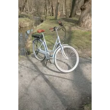 Велосипед з електроприводом 28 ST Dorozhnik eRETRO Vbr FR рама-19 36B 12.5А*г 500Вт світло-блакитний PANTONE 5435 C 2025
