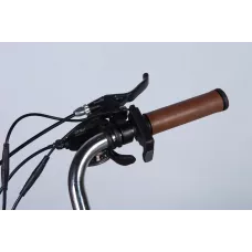 Велосипед з електроприводом 28" AL Dorozhnik eCORAL DD FR рама-19" 48B 13А*г 500Вт бронзовий 2026