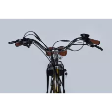 Велосипед з електроприводом 28" AL Dorozhnik eCORAL DD FR рама-19" 48B 13А*г 500Вт бронзовий 2026