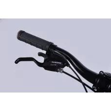 Велосипед AL 24" Formula BLACKWOOD 1.0 DD FR рама-12,5" червоно-сріблястий 2025