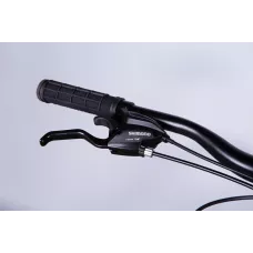 Велосипед уцінений AL 29" Formula MOTION DD FR рама-21" зелений 2026