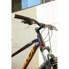 Велосипед AL 29" Formula THOR DD CS рама-19" мідно-чорний з помаранчевим 2026